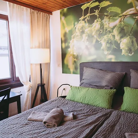 Szálloda Hochdorfer Brauhaus Krone *